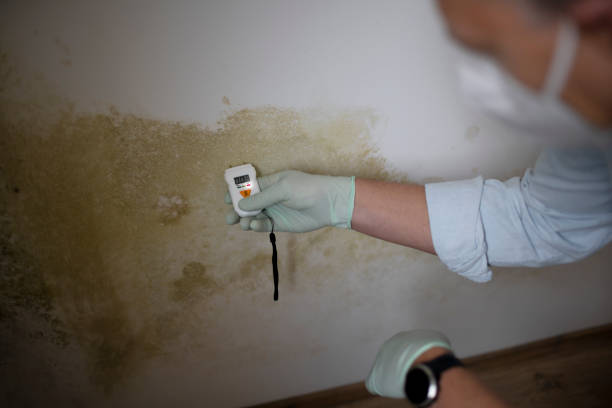 Best Mold Remediation for Healthcare Facilities  in Derby, CO